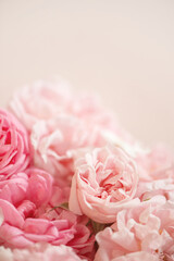 Tender background of pink roses on textured beige background