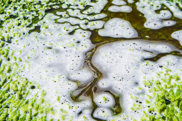 View of the tropical river in the green forest