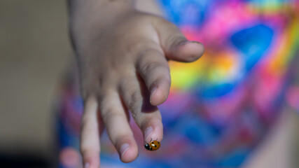 Naklejka premium Ladybug creeps on baby's hand