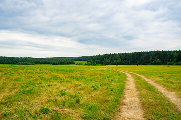 Road in a rural field in summer and cloudy sky