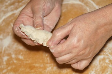 female hands making homemade dumpling