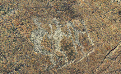 Petroglyphs in Karelia, Belomorsk district, Russia.