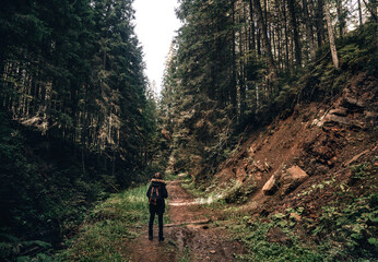 Young girl hiker at forest mountains landscape with backpack travel. Lifestyle wanderlust adventure. Location Carpathian national park, Ukraine, Europe