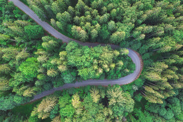 Aerial view of beautiful mountain road crossing a green forest