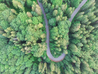 Aerial view of beautiful mountain road crossing a green forest