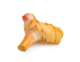 Galangal rhizomes isolated on white background