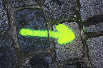 green leaf on asphalt