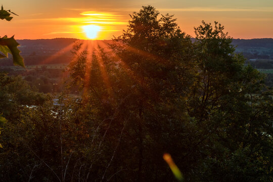 Des rayons de soleil &agrave; travers les branches