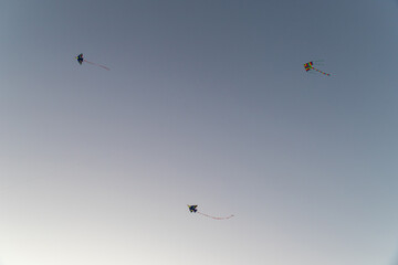 Three kites flying on the sky.