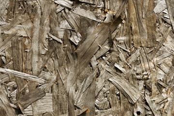 Gray and old plywood wood texture, usable for a realistic wood texture, photorealism