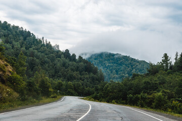 View from a moving car on a road
