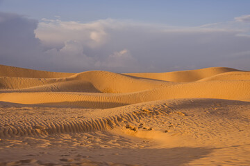 Fototapeta na wymiar sand dunes of the Sahara desert, with traces left by human feet