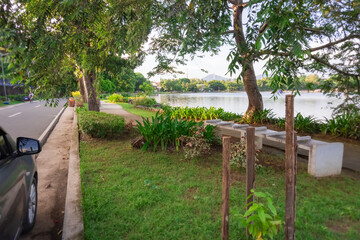 Beautiful garden in a lake