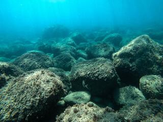 the sun's rays fall from above, penetrating seawater to the bottom. very large stones at the bottom of the sea