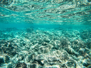turquoise seabed. marine life under water. clear water of the ligurian sea. large stones at the bottom of the sea