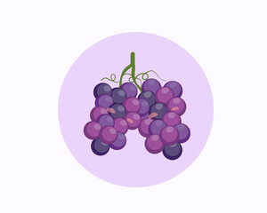 grapes are healthy for consumption and good for the body