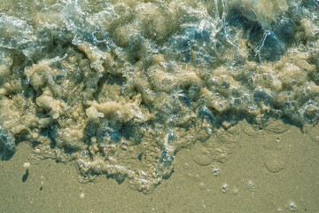 Blue sea water and wet sand. Pineto, Abruzzo/Italy.