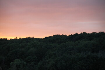 Orange pink forest beautiful sunset 