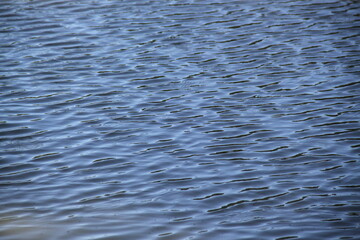 Wavelets fluid water undulations on the daylight