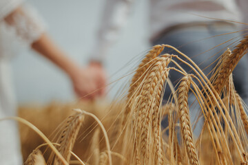 ear of wheat and couple holding hands