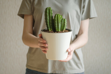 A young girl holds in her hands a beautiful cactus in a white pot. Home plants care concept. Potted cactus house plant