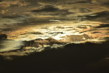 Fototapeta premium Nature, Plants, Flowers, Greenery, Sky, Sun, Freedom