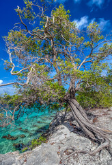 Sea,Washington Slagbaai National Park