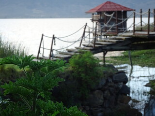Cabaña del lago
