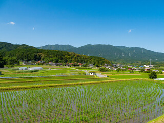 scenery of rice fields in countryside of Fukuoka prefecture, JAPAN.