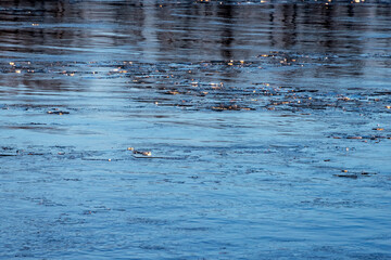 Icicles float on the river and sparkle under the rays of the setting sun. Natural abstract pattern as a background.