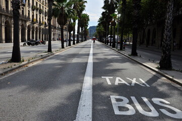 An asphalt road in Barcelona with a white dividing line and taxi and bus signs.