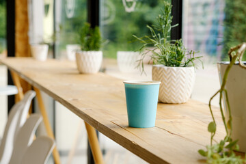 A blue paper cup with hot fresh coffee is standing on a wooden table in a cafe. The interior of the cafe with a Ripsalis cactus (twig) and other green plants. The view from the coffee shop.