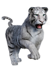 3D Rendering White Tiger on White
