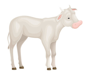 Calf Standing Isolated on White Background Vector Illustration
