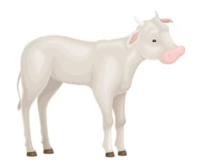 Foto op Canvas Calf Standing Isolated on White Background Vector Illustration © Happypictures