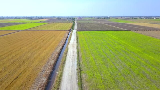 Aerial view of beautiful paddy fields scenary of agriculture land located in Sekinchan, Malaysia