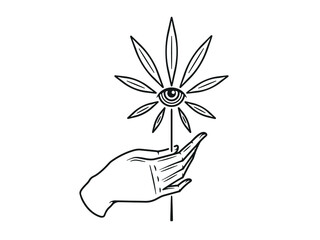 Hand holding Sativa Cannabis leaf black on white