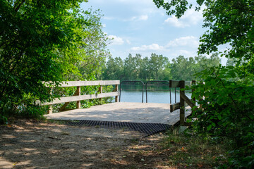 Natur Wasser Wald Bäume
