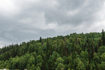 road against the background of the natural beauties