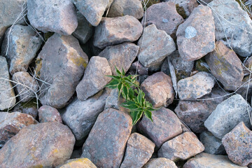 Steine Natur