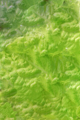 Background. Sheet cauliflower after a summer rain close-up.