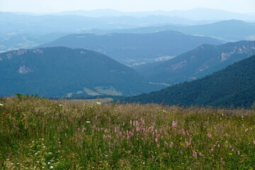 Obraz premium Landscape with blue Mala Fatra mountains in Slovakia