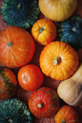 A collection of pumpkins and squash of different types and colors. Autumn harvest. Different types of pumpkins