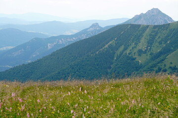 Fototapeta na wymiar Landscape with blue Mala Fatra mountains in Slovakia