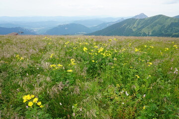 Landscape with blue Mala Fatra mountains in Slovakia