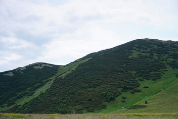 Naklejka premium Landscape with blue Mala Fatra mountains in Slovakia