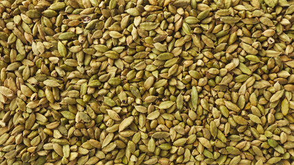 Top view shot of cardamom on white background.