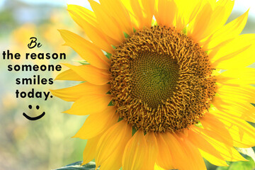 Inspirational quote - Be the reason someone smiles today. With closeup of beautiful sunflower...