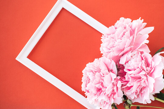 White picture frame decorated with pink peony flowers on red background.Copy space for text,top view,flat lay,selective focus
