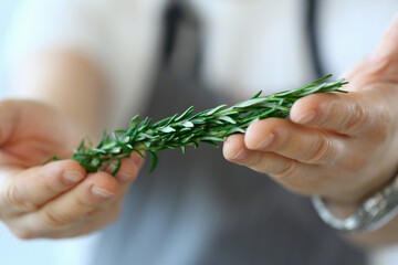 Close up of man holding fresh rosemary twig in hands while cooking recipe at home. Cooking recipes concept